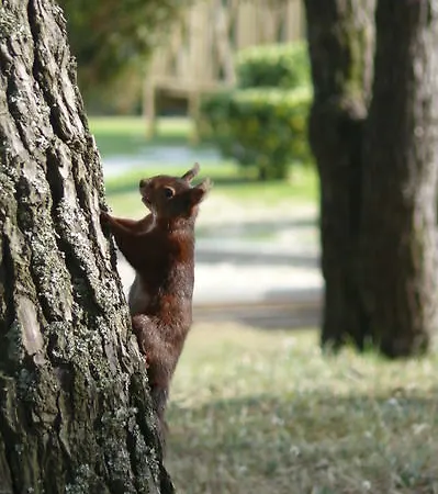 Parque De Campismo Orbitur Rio Alto Póvoa de Varzim