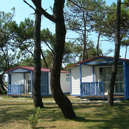 Parque De Campismo Orbitur Rio Alto Kemping