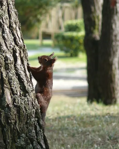 Parque De Campismo Orbitur Rio Alto Póvoa de Varzim