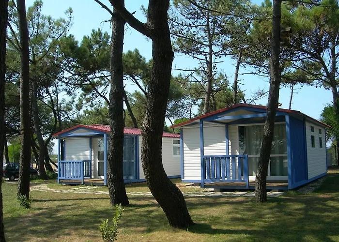 Parque De Campismo Orbitur Rio Alto Campingplads